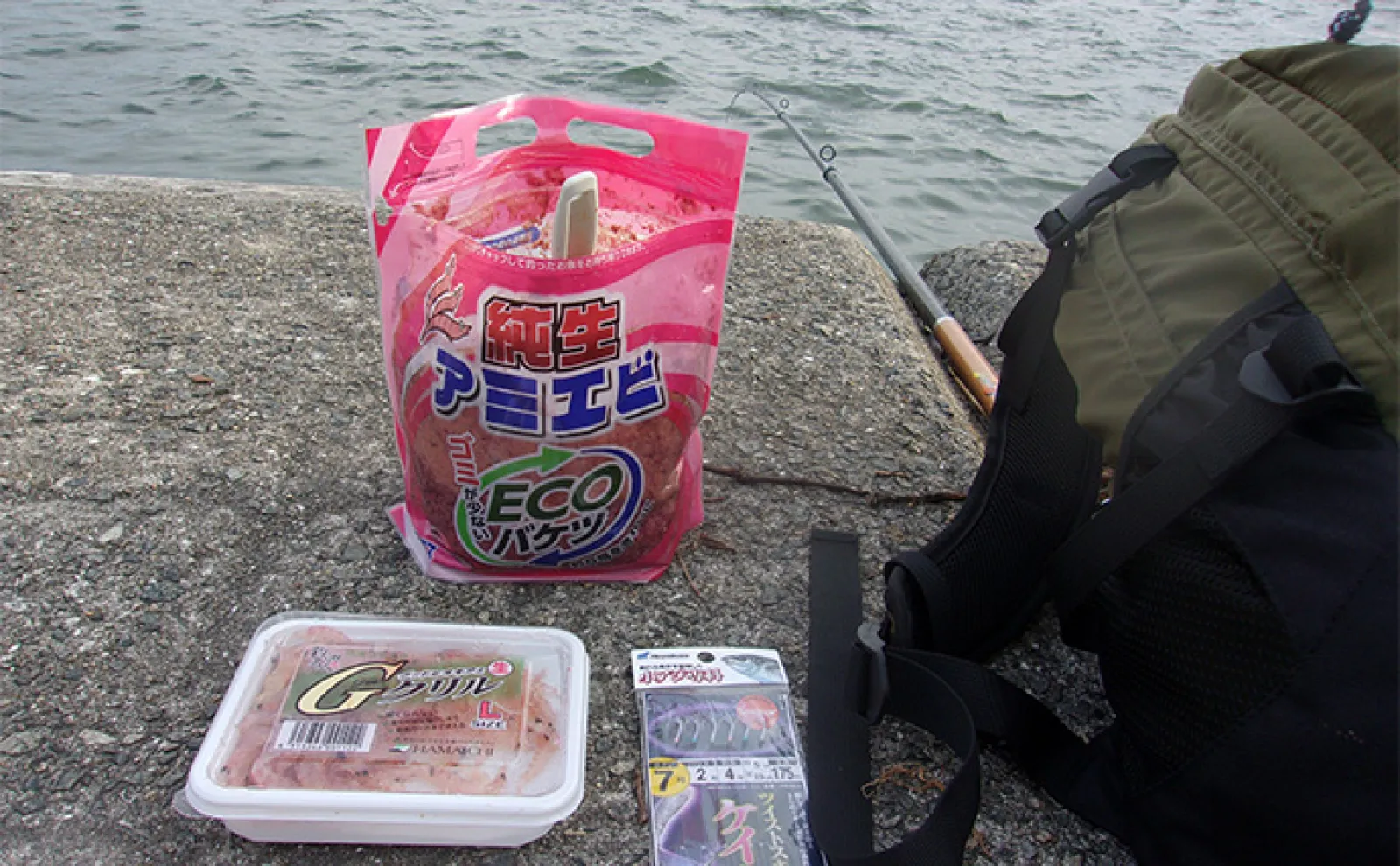 武庫川一文字でのサビキ&ノマセ釣りでメジロに挑戦【兵庫】ウキ流しの泳がせに本命ヒット
