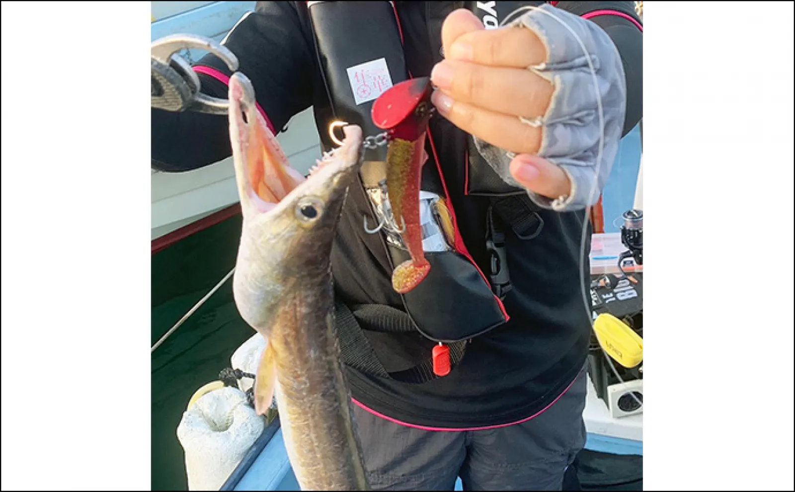SLJ&タイラバで良型マダイ手中【大分・国東半島】ワームでハモが釣れてビックリ