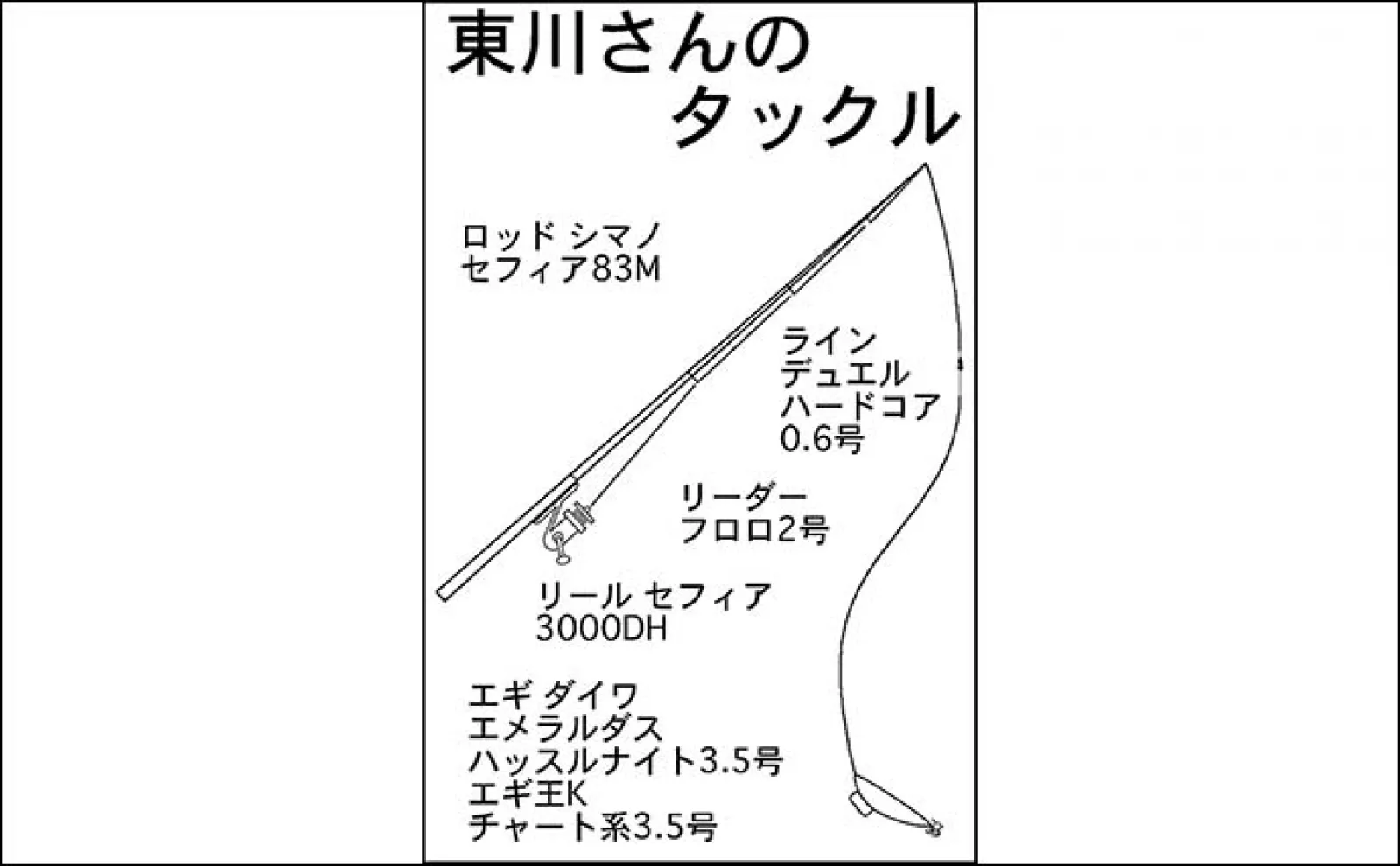エギング釣行で1.9kgアオリイカをキャッチ【福井・越前】ケンサキイカも登場