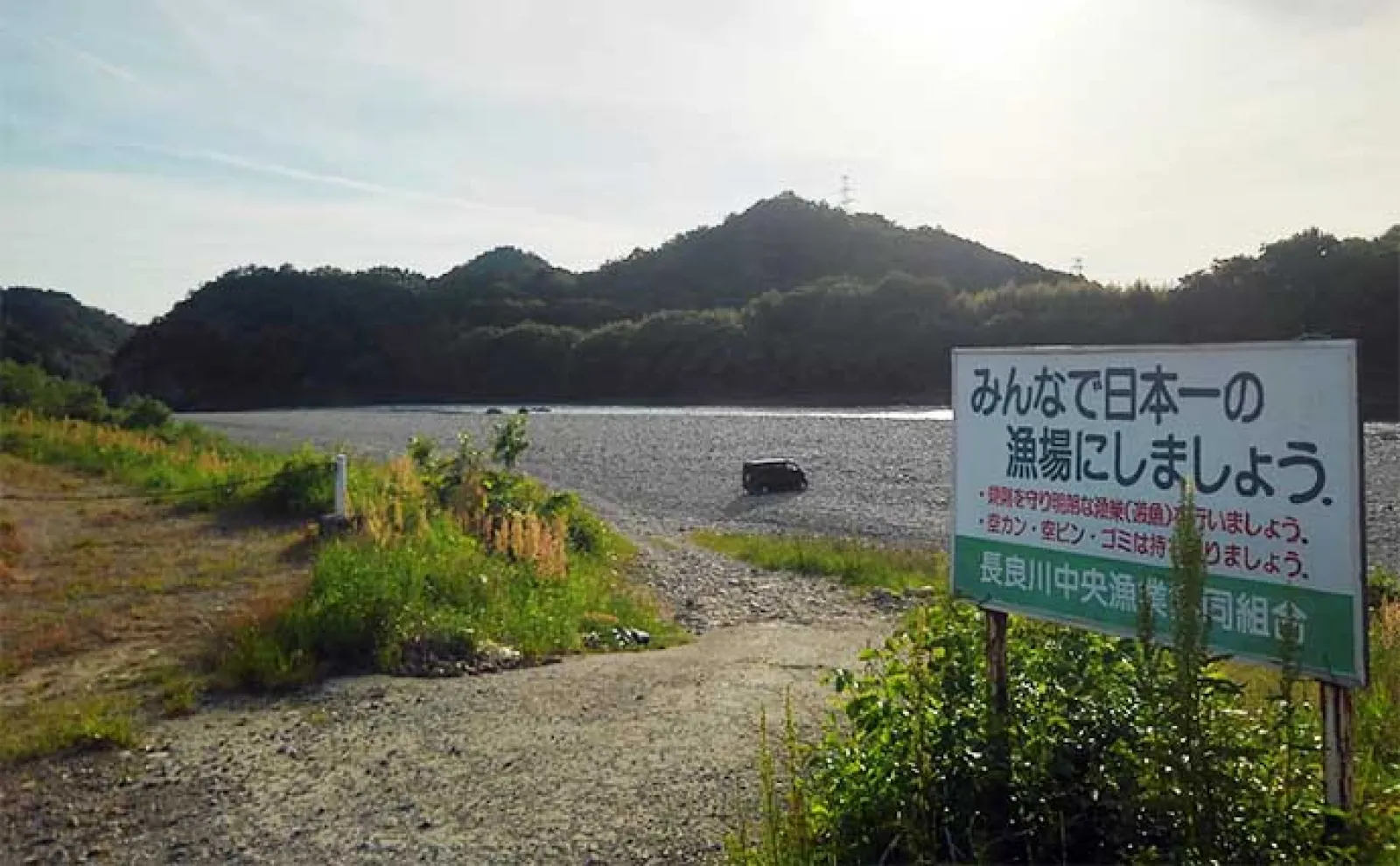 アユのトモ釣りおすすめ河川:長良川・中央漁協【岐阜】2023年も天然遡上は順調