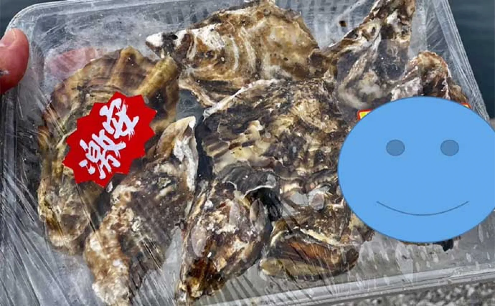 人気急上昇中!コブダイ狙いの『かぶせ釣り』入門 【タックル・エサの付け方を解説】