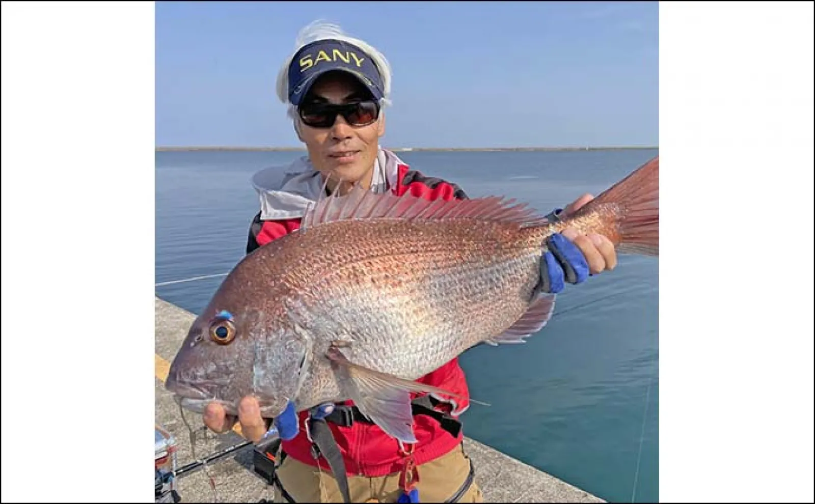 堤防カゴ釣りで64cmマダイ浮上【新潟・直江津港】ゲストにクロダイとイナダも