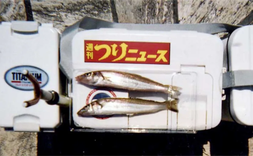 国府津海岸のキス投げ釣りで本命シロギス2尾　海況悪い中で上出来の釣果に