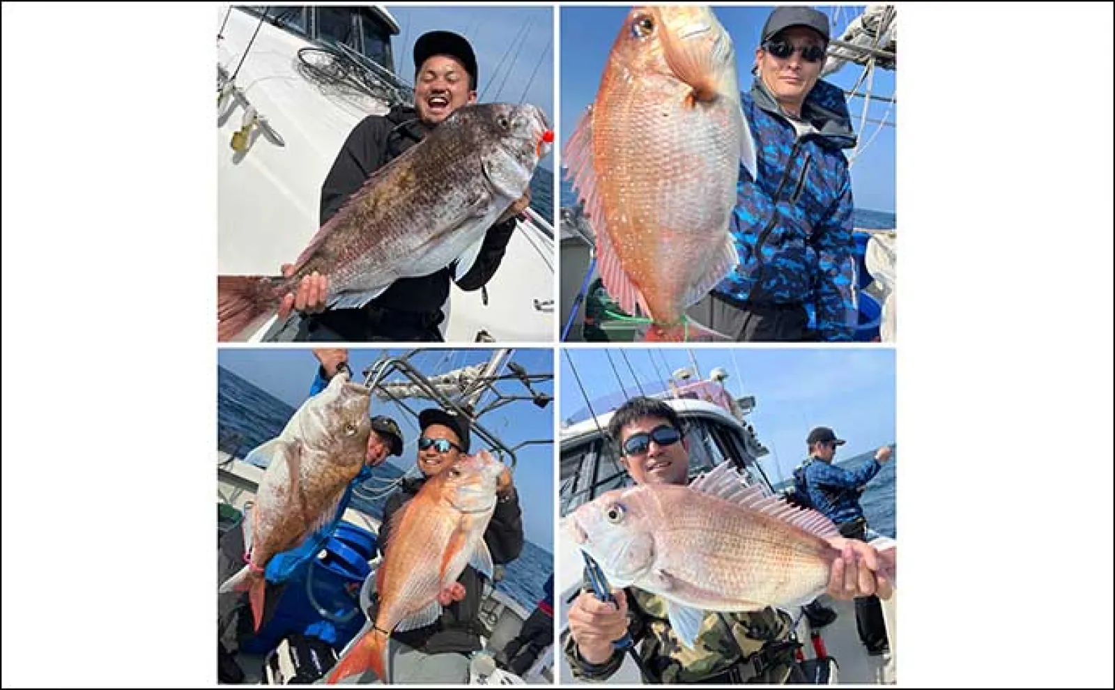【釣果速報】タイラバで9kg級筆頭に大型マダイ続々顔出し!型狙いのチャンス(福岡)