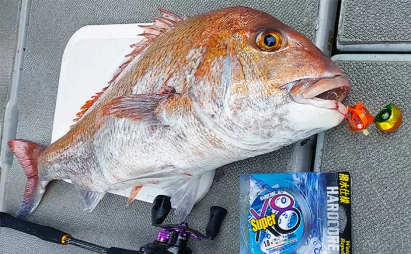 大物狙いタイラバ釣行で92cmブリに80cm級マダイ【境港・ジョイフィッシャー】