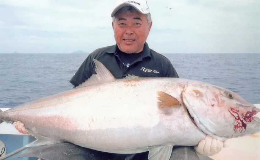 【トカラ列島遠征】泳がせ釣りで26kgクエに40kgカンパチをキャッチ