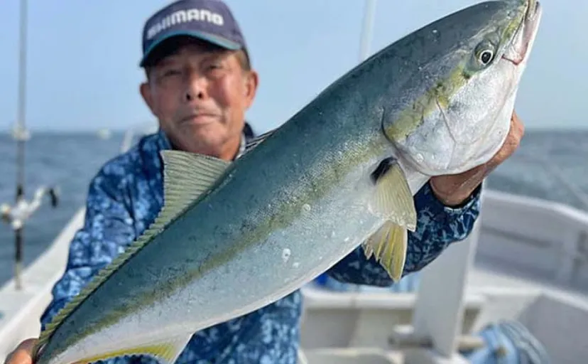 オフショアジギングでワラサ9安打と大爆釣【伊勢湾】タイラバではマダイも顔出し