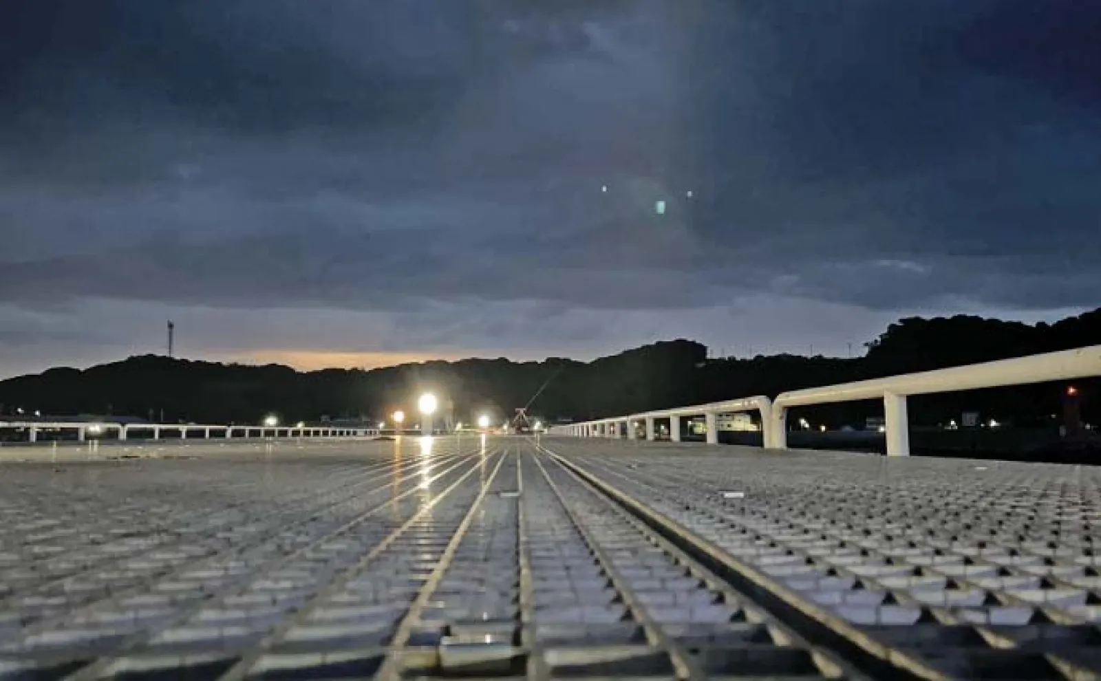 堤防サビキ釣りでサバ連発【愛知・豊浜海釣り桟橋】朝マヅメにチャンスあり