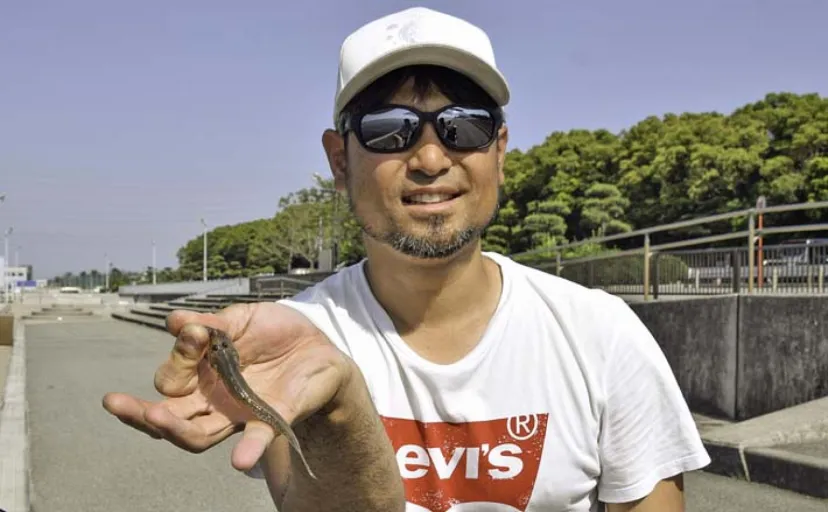 サビキ＆ちょい投げ釣りでハゼが連発【愛知・碧南海釣り広場】今後はキスに期待
