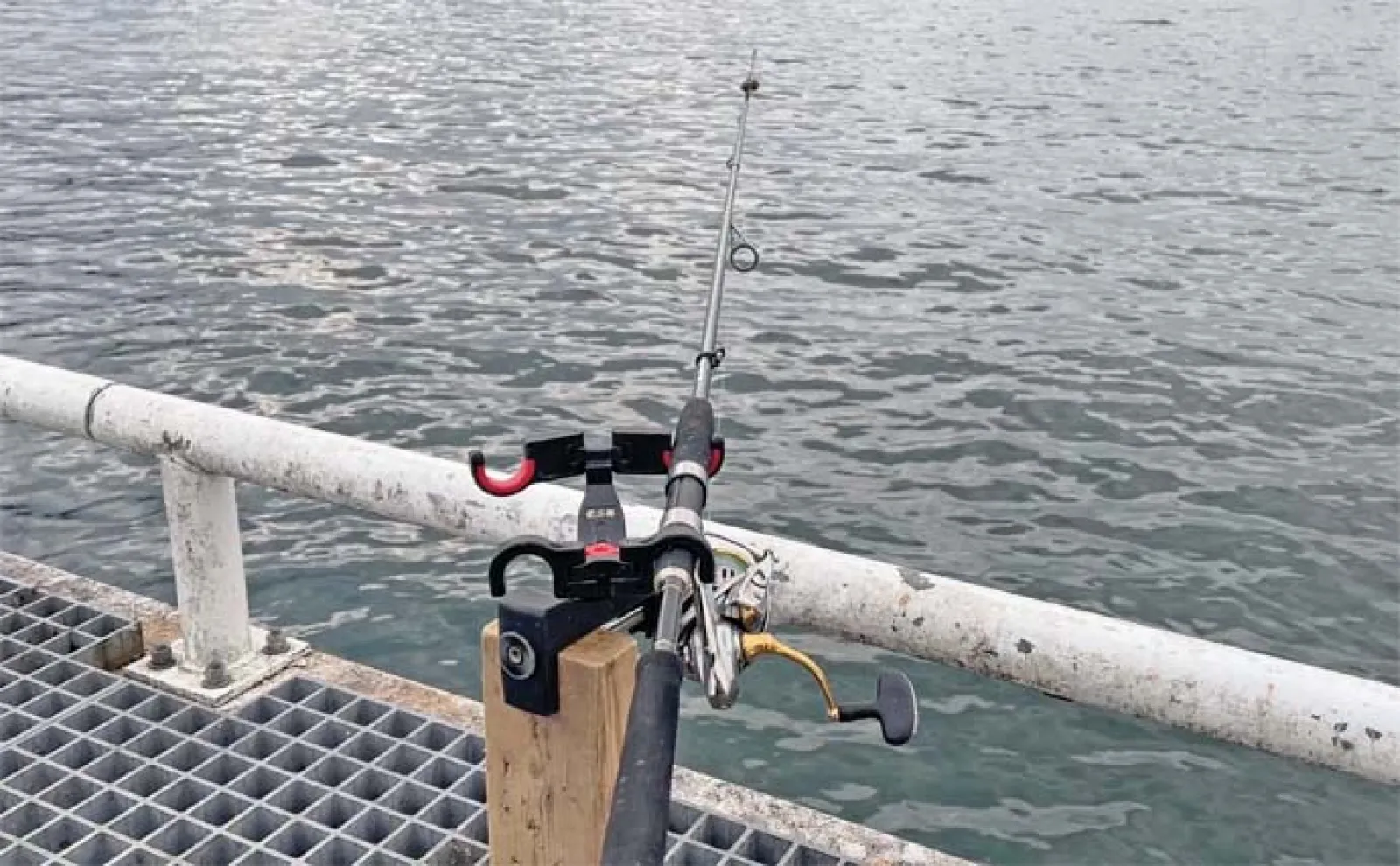 堤防サビキ釣りでサバ連発【愛知・豊浜海釣り桟橋】朝マヅメにチャンスあり