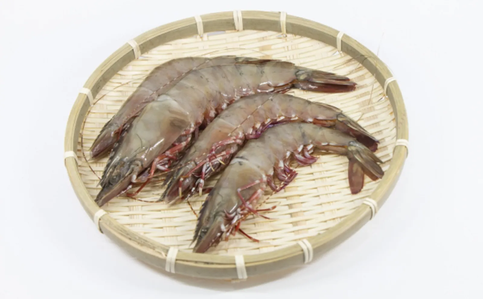 非効率だけどSDGsな「打瀬網漁(うたせあみりょう)」 風力で網を引く?