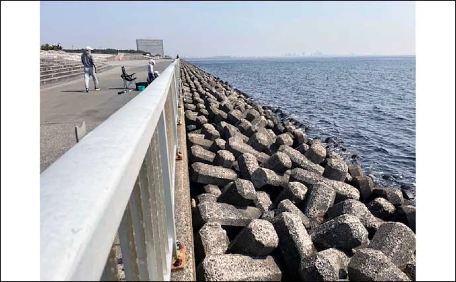 【東京・神奈川・千葉】駐車場が併設&周辺にある「海の釣り場」25選
