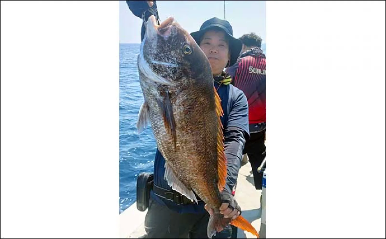 【釣果速報】イカメタル半夜便で釣る人3桁目前!後半に数伸びる傾向(福井)