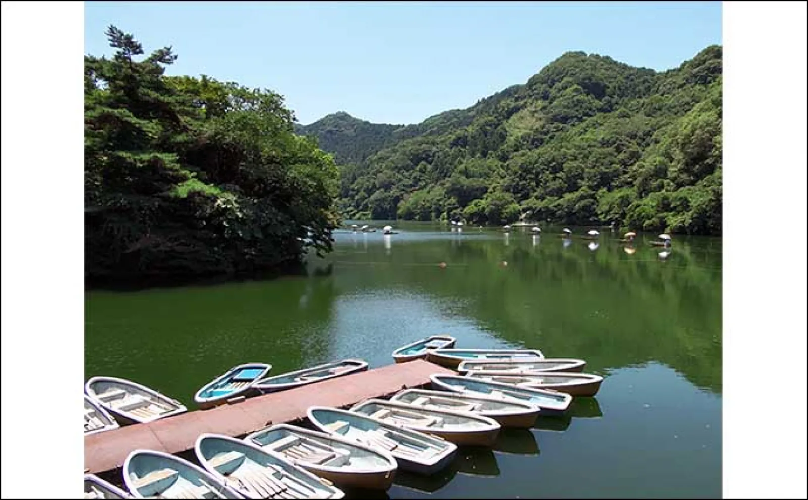 今週の関東ヘラブナ推薦釣り場2023【埼玉県・間瀬湖】舟・陸・桟橋から狙える
