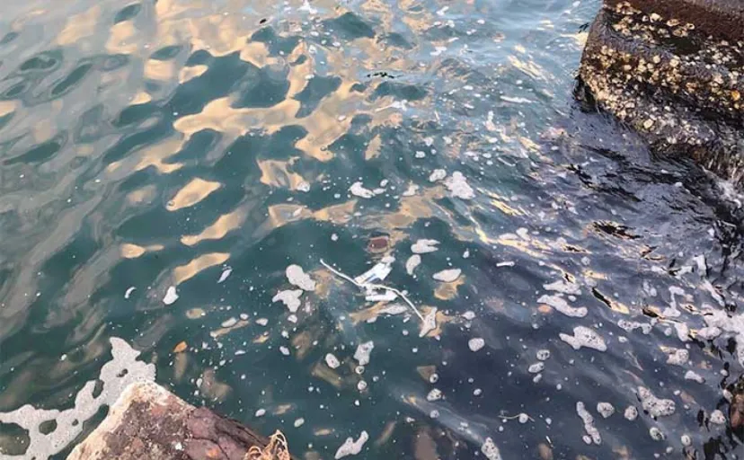 堤防ルアー釣りで【魚が居着く5つのポイント】変化をピンポイントで狙おう