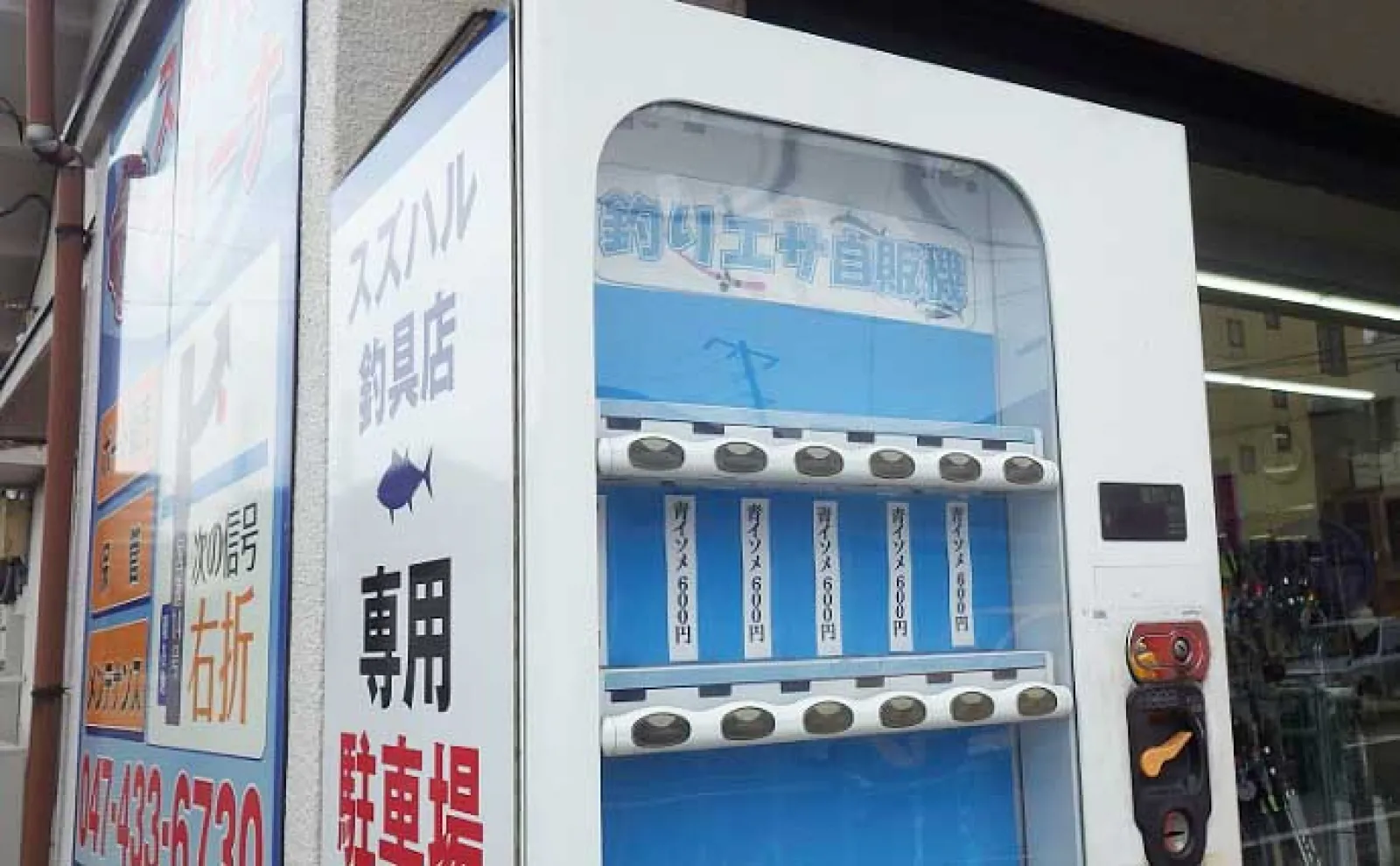 船橋港のべ竿フィッシングで10cm頭にハゼ33匹【千葉】東京湾奥にハゼ釣りシーズン到来
