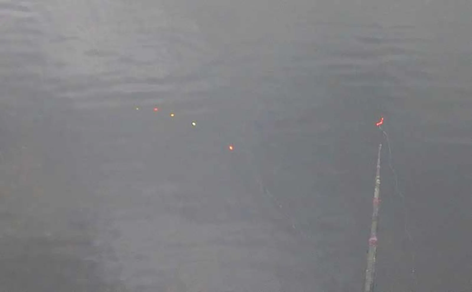 船橋港のべ竿フィッシングで10cm頭にハゼ33匹【千葉】東京湾奥にハゼ釣りシーズン到来