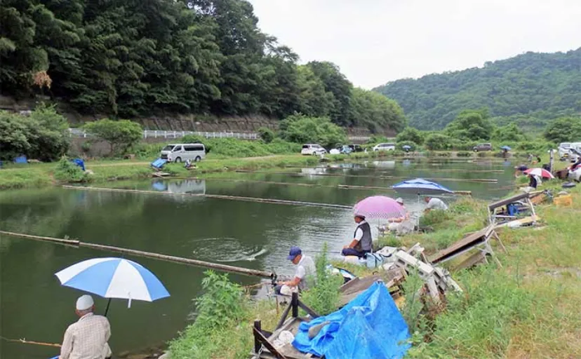 今週のヘラブナ推薦釣り場2023【神奈川県・八菅ファミリー釣り場】