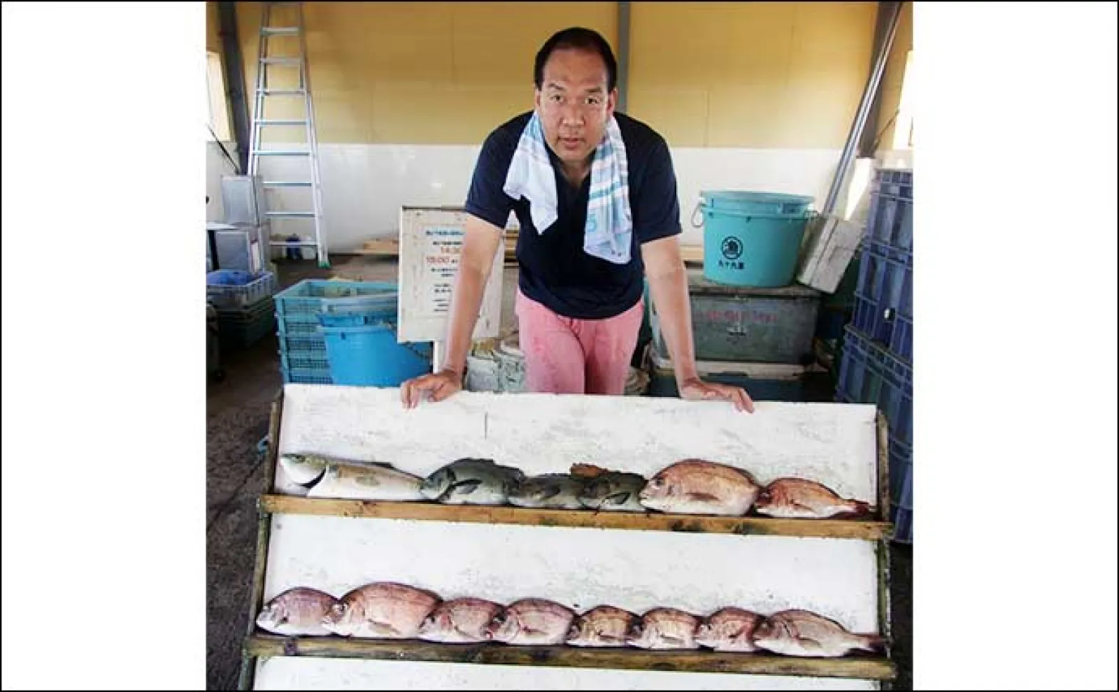 『九十九里海釣りセンター』でワラサにマダイにイセエビが釣れる【千葉】
