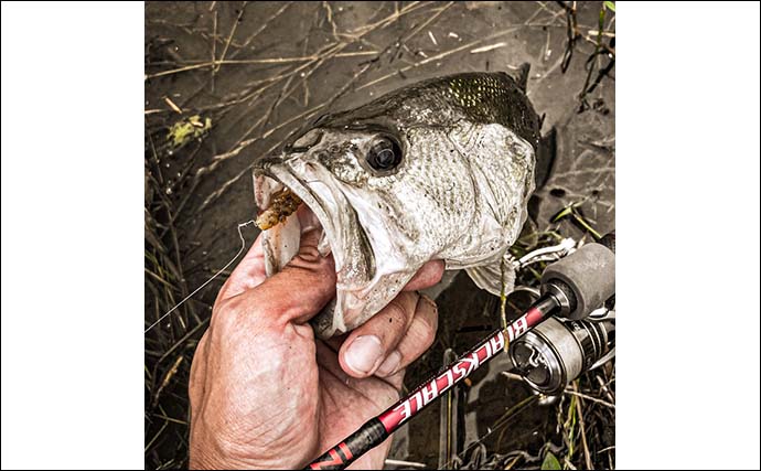 自転車でのバス釣りで39cm本命手中【岐阜・大江川】往復6時間で実釣