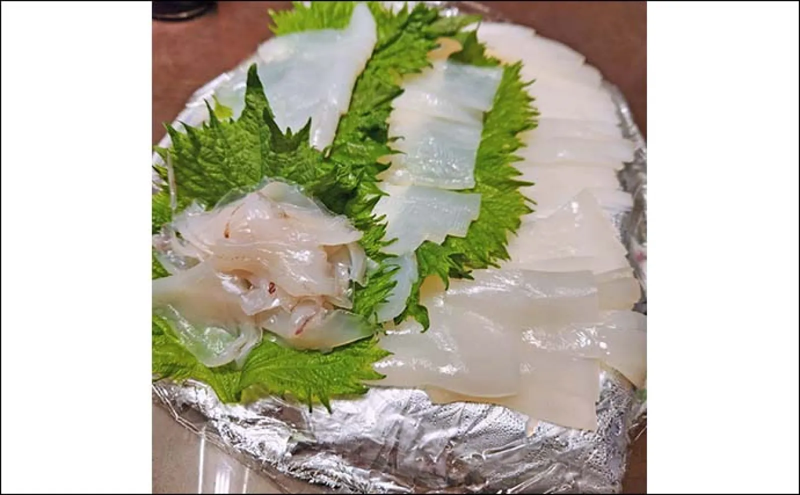 夜焚きイカ釣りで大型ケンサキイカ手中【福岡・達喜丸】イカ泳がせて70cm級マダイも