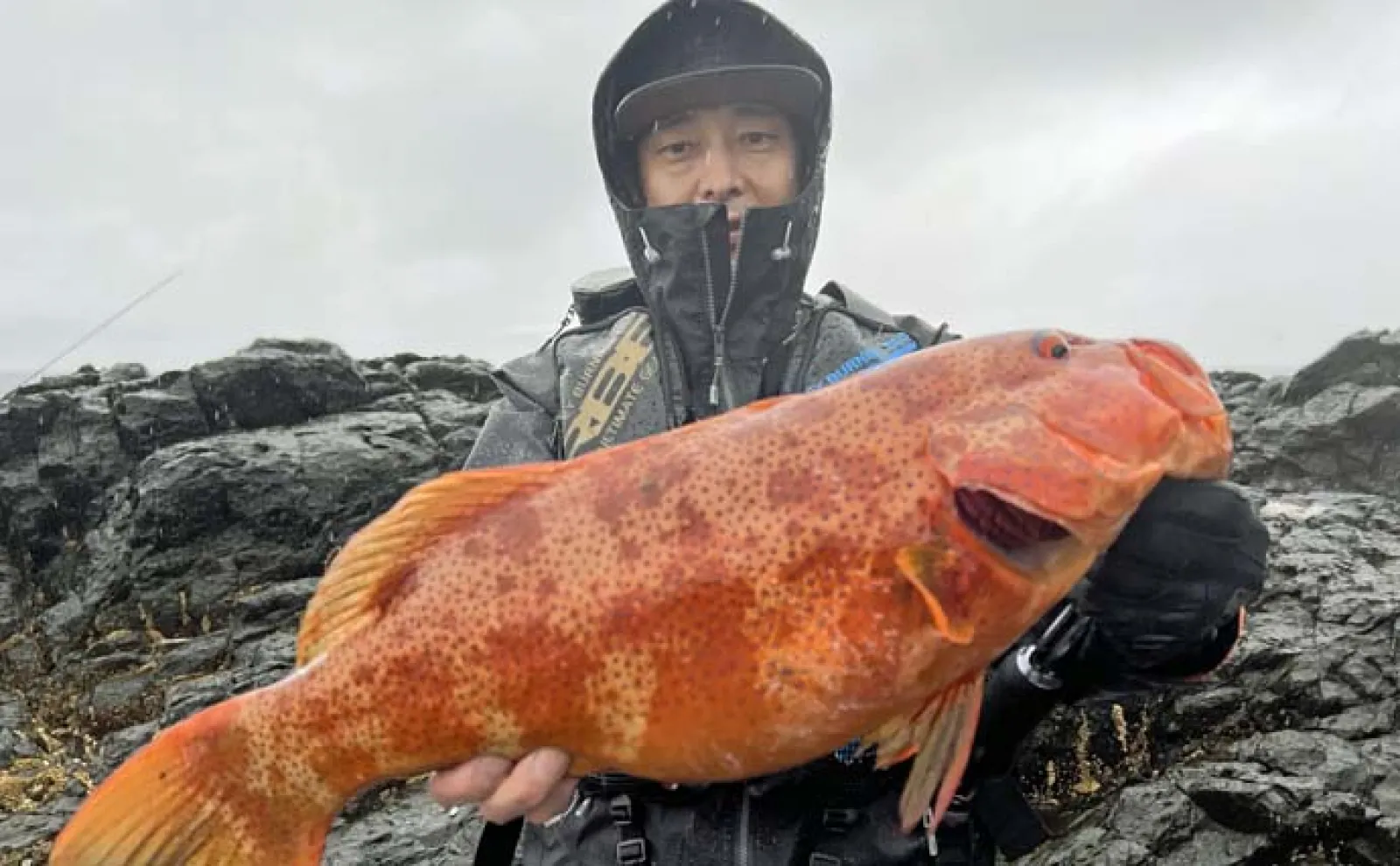 磯ルアー釣行でスジアラにハマフエフキにヒラスズキ【鹿児島・中甑島】