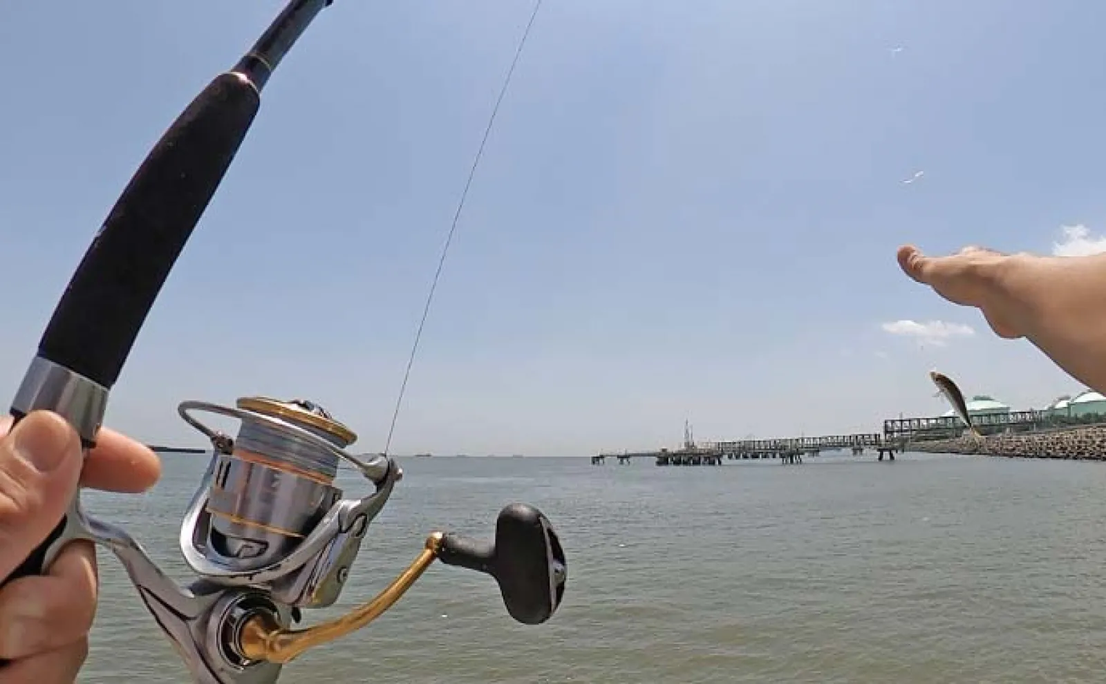 四日市港＆霞釣り公園でのトリックサビキ釣りでアジをキャッチ【三重