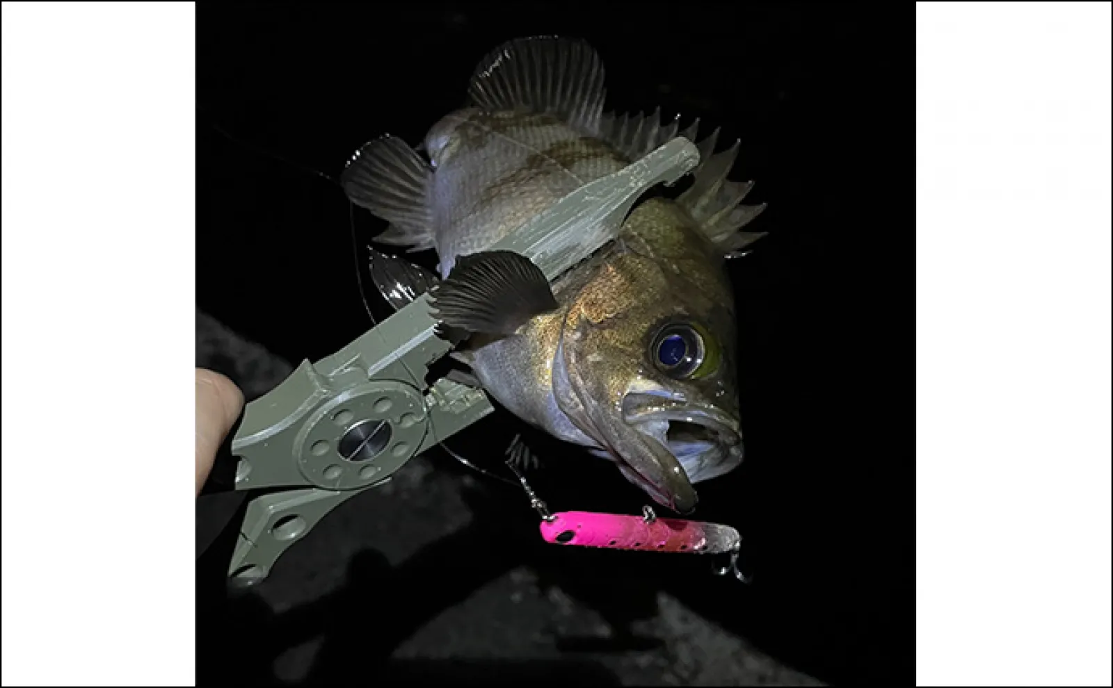 ベイトに似せ過ぎたルアーには魚が食わないワケ スレたシーンでは有効なことも?