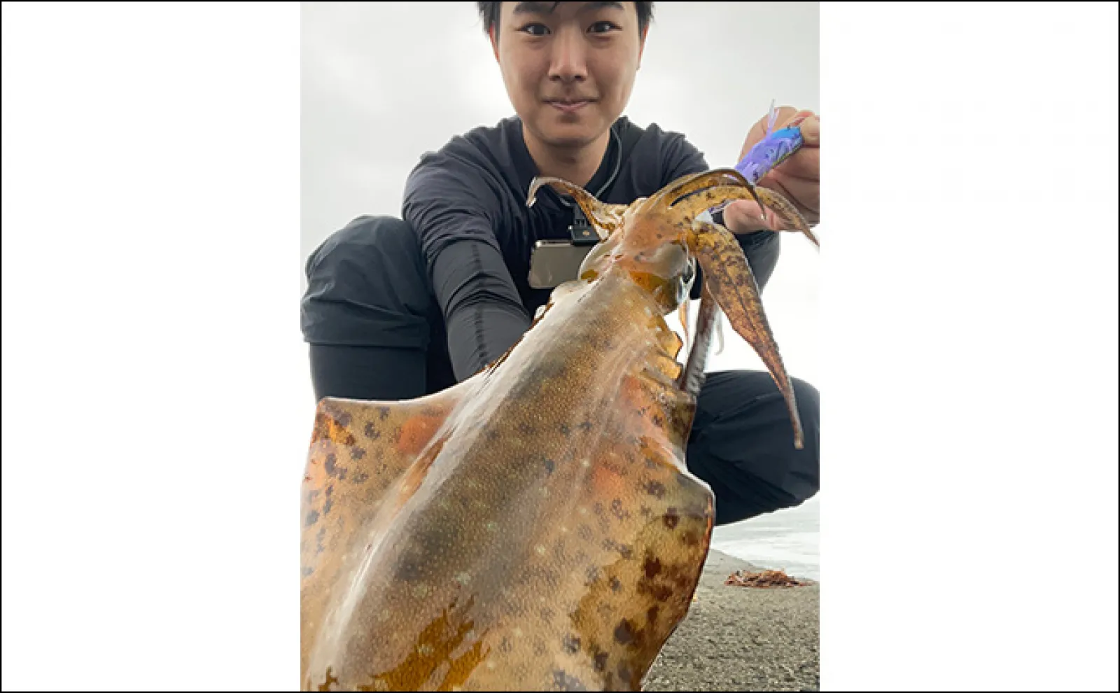 雨の中の陸っぱりエギング釣行で900gアオリイカをキャッチ【熊本・通詞島】