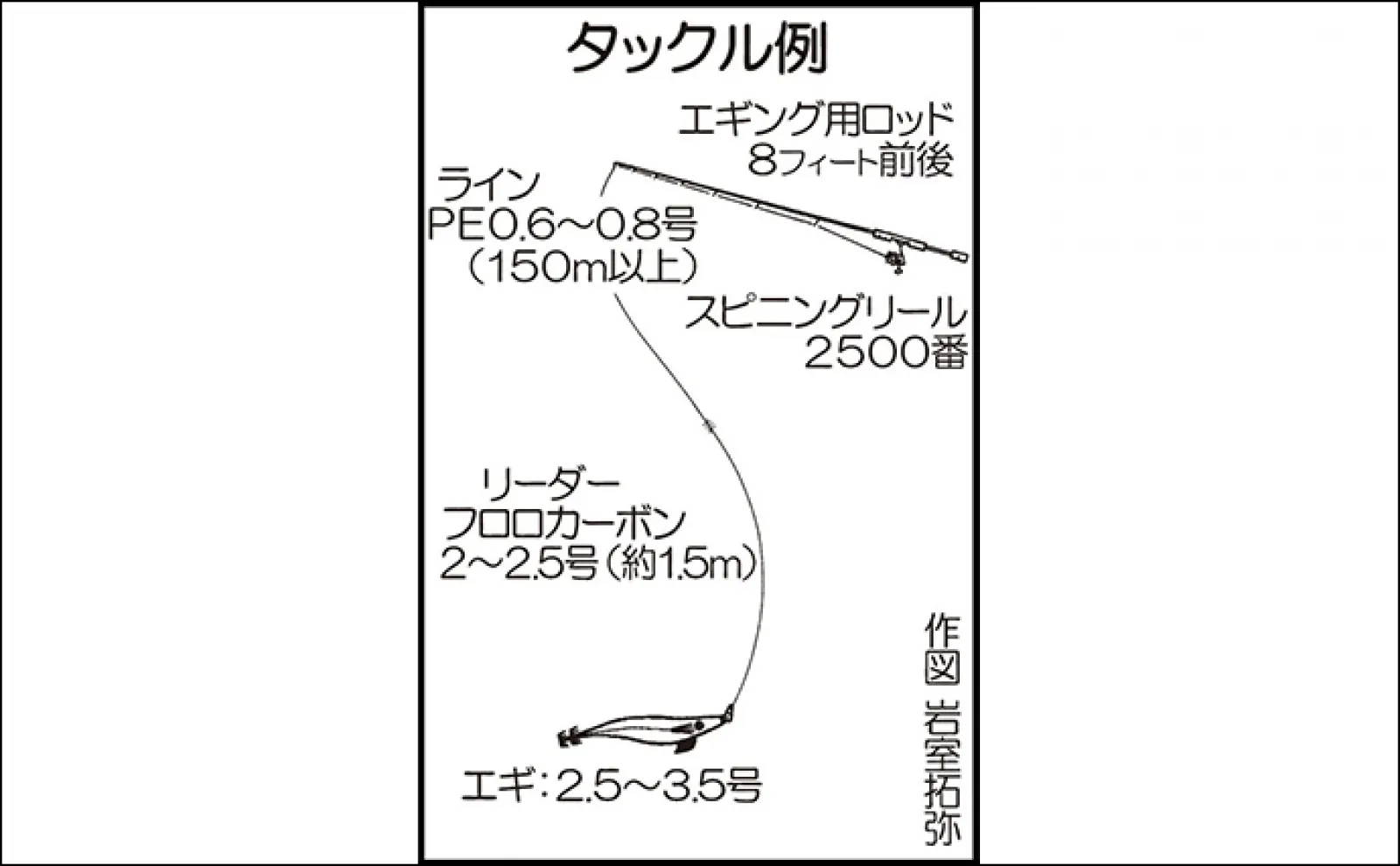 秋のアオリイカエギング攻略方法 居着き個体狙い&ランガンで数を狙おう
