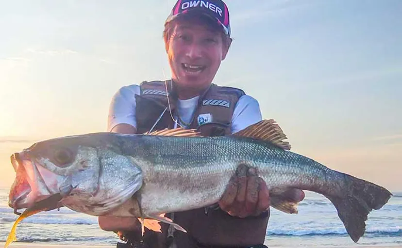 サーフでのルアー釣行で75cmシーバスと肉厚ヒラメをキャッチ【茨城・高萩】