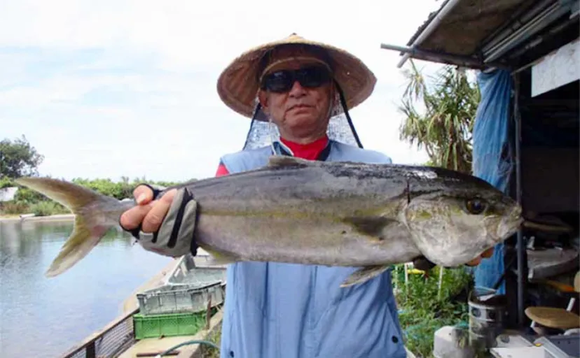 【釣果速報】海上釣り堀でカンパチ・ヒラマサなど青物続々（三重・愛知）