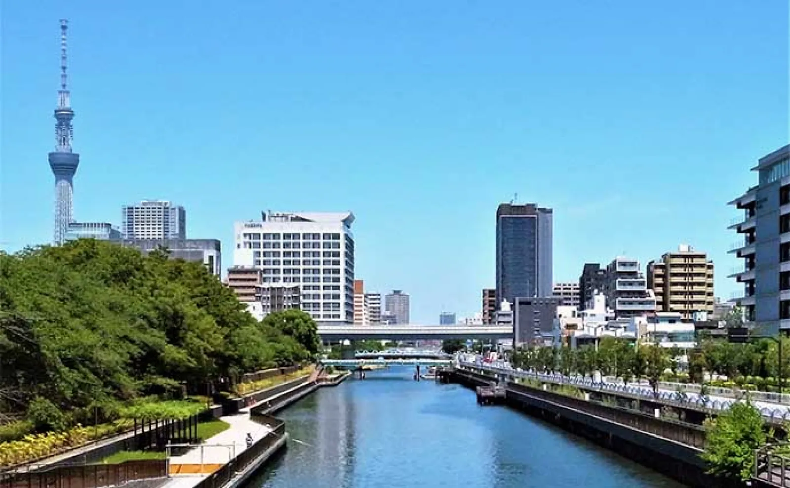 横十間川でのハゼ釣りで10cm頭に30尾超え【東京】今後のサイズアップに期待