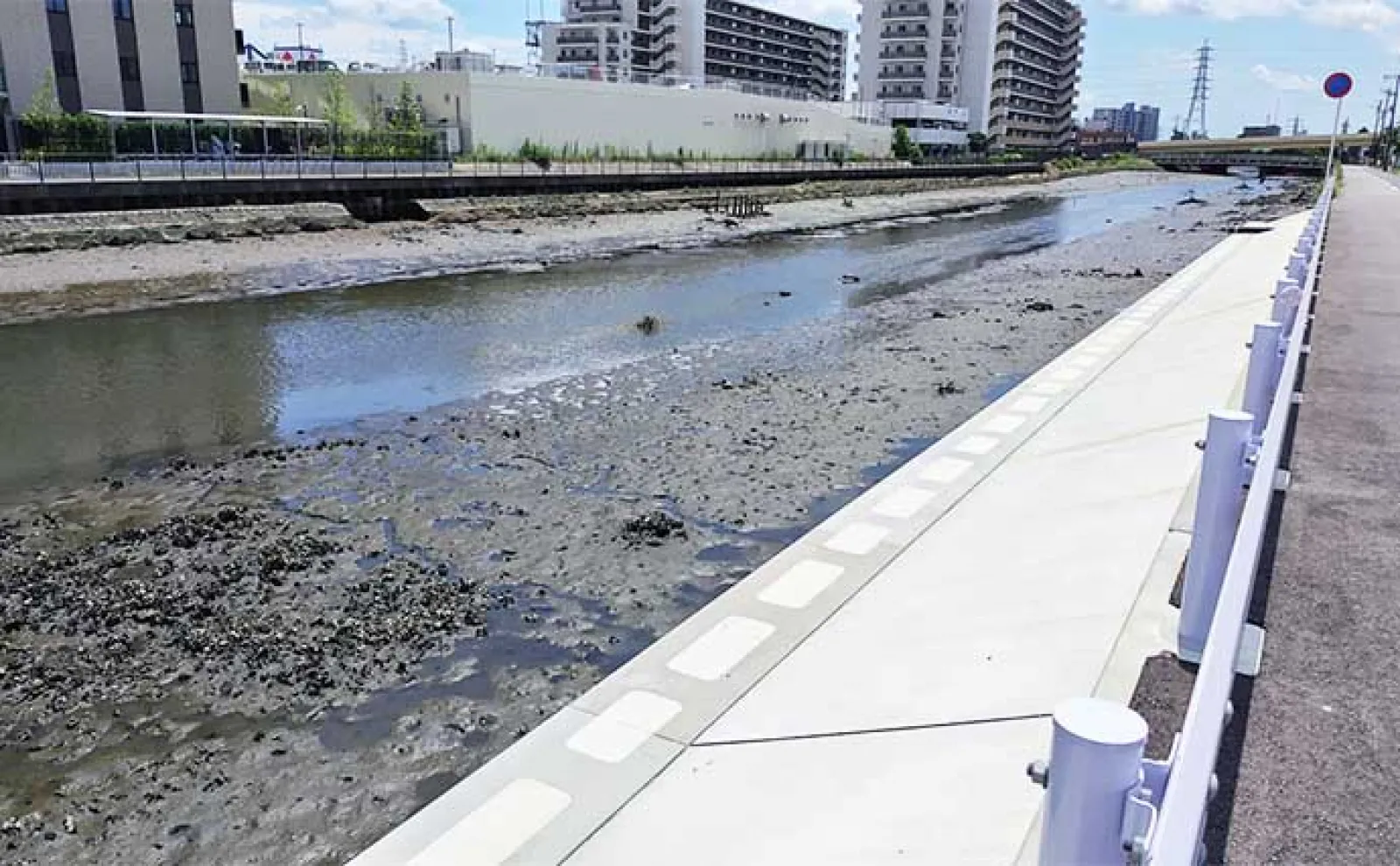 河川のクロダイをルアーで釣る方法 【ポイント選び・使用ルアー・昼と夜の釣り方】