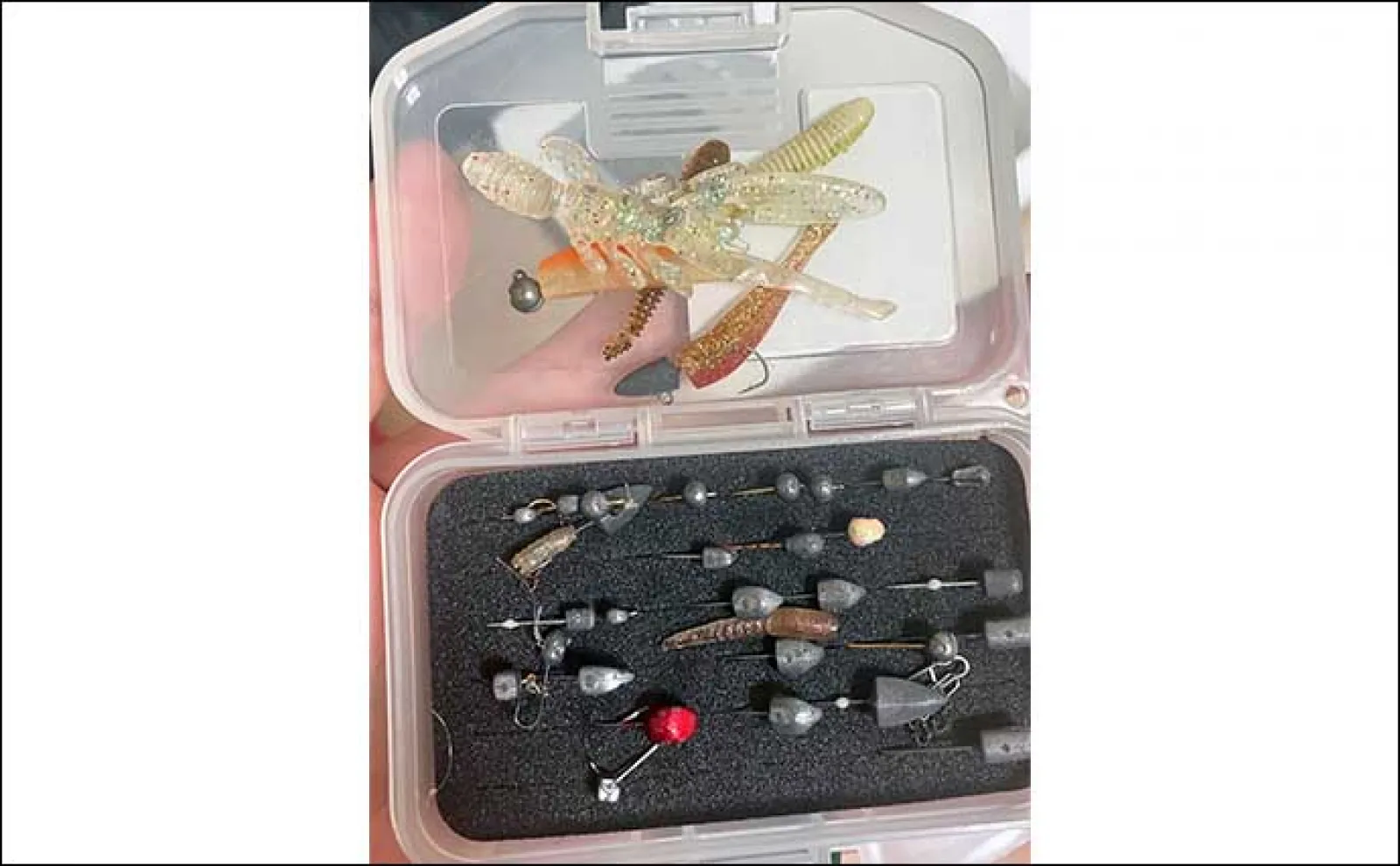 日中に楽しむ「雑魚(ザコ)ゲーム」のススメ シンプルに引きを楽しもう