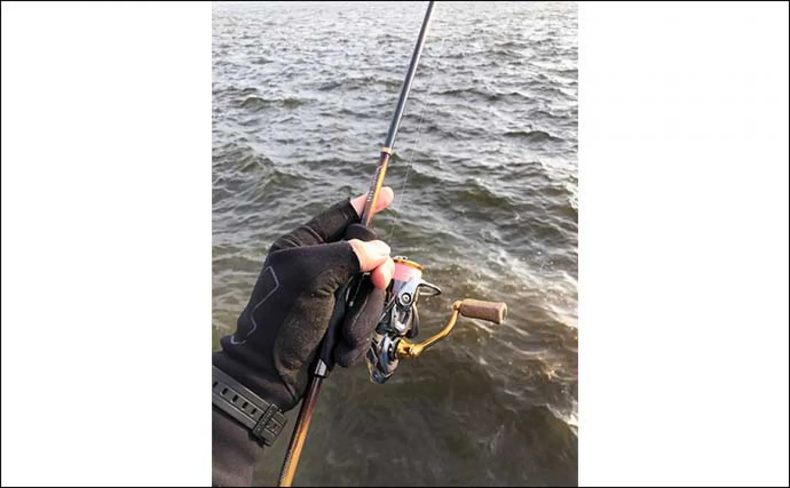 日中に楽しむ「雑魚(ザコ)ゲーム」のススメ シンプルに引きを楽しもう