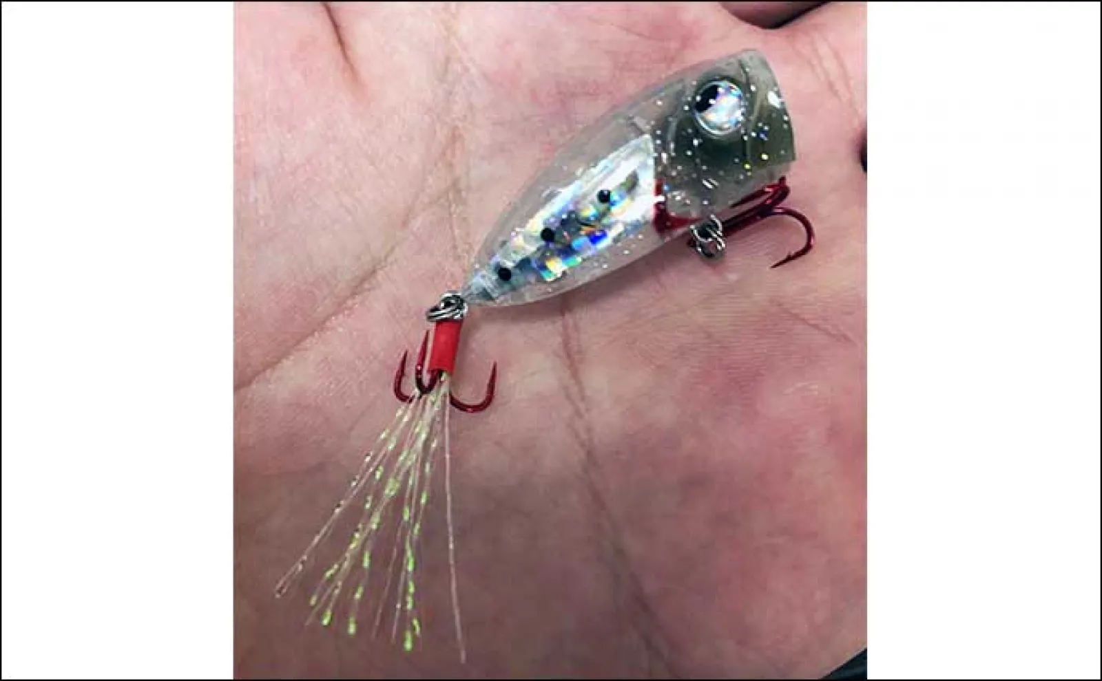 釣りを妨げる足元の厄介な生物たち【クラゲ・サルパ・藻】 対策は移動の一手?