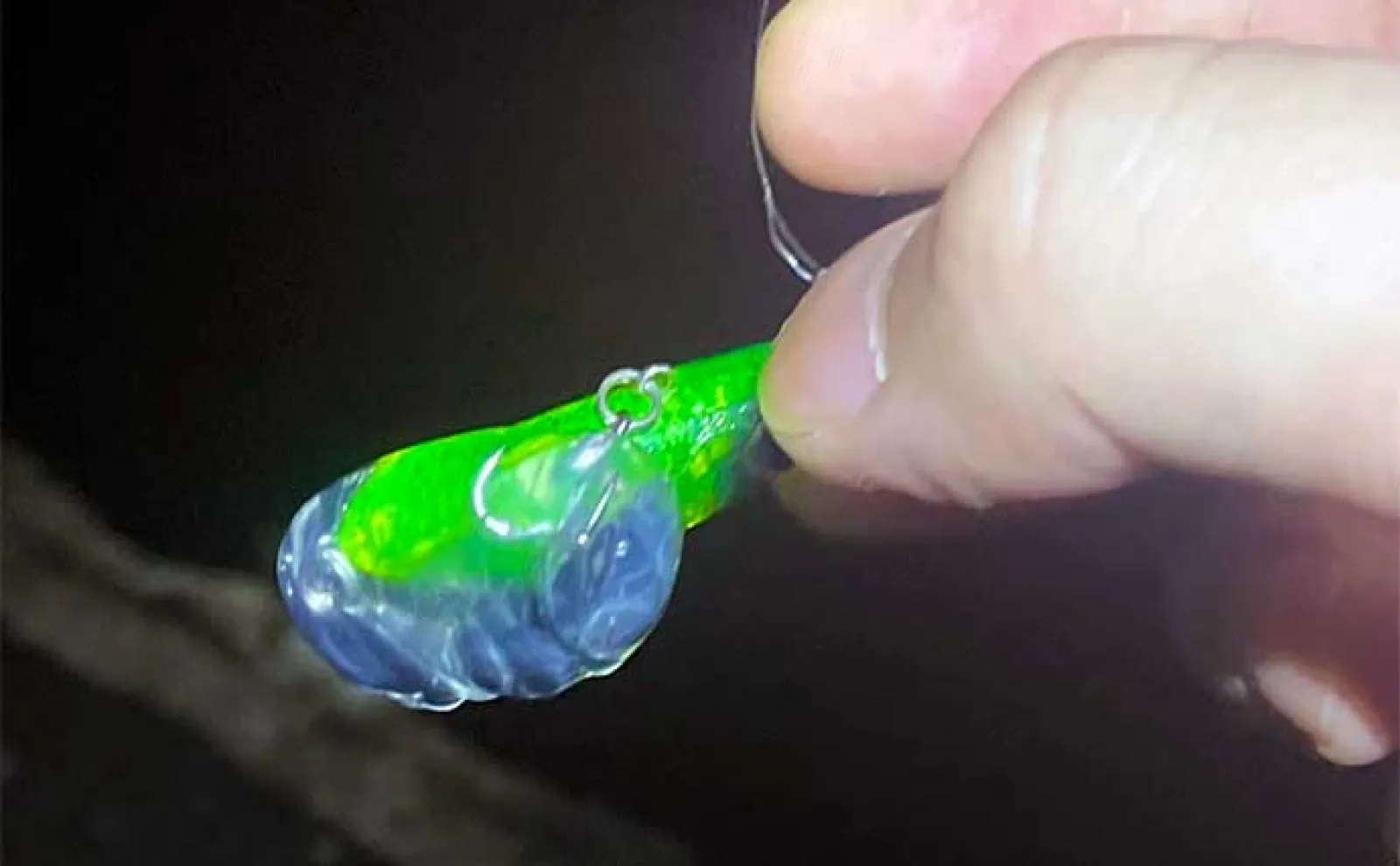 釣りを妨げる足元の厄介な生物たち【クラゲ・サルパ・藻】 対策は移動の一手?
