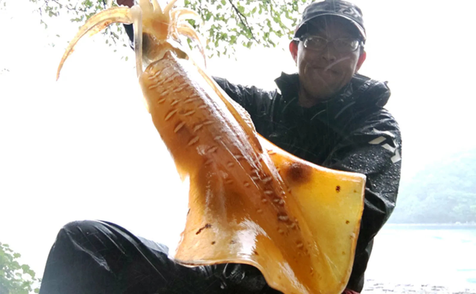 夏のアオリイカエギングの釣り方を解説【三重・熊野エリア】実績エギも紹介