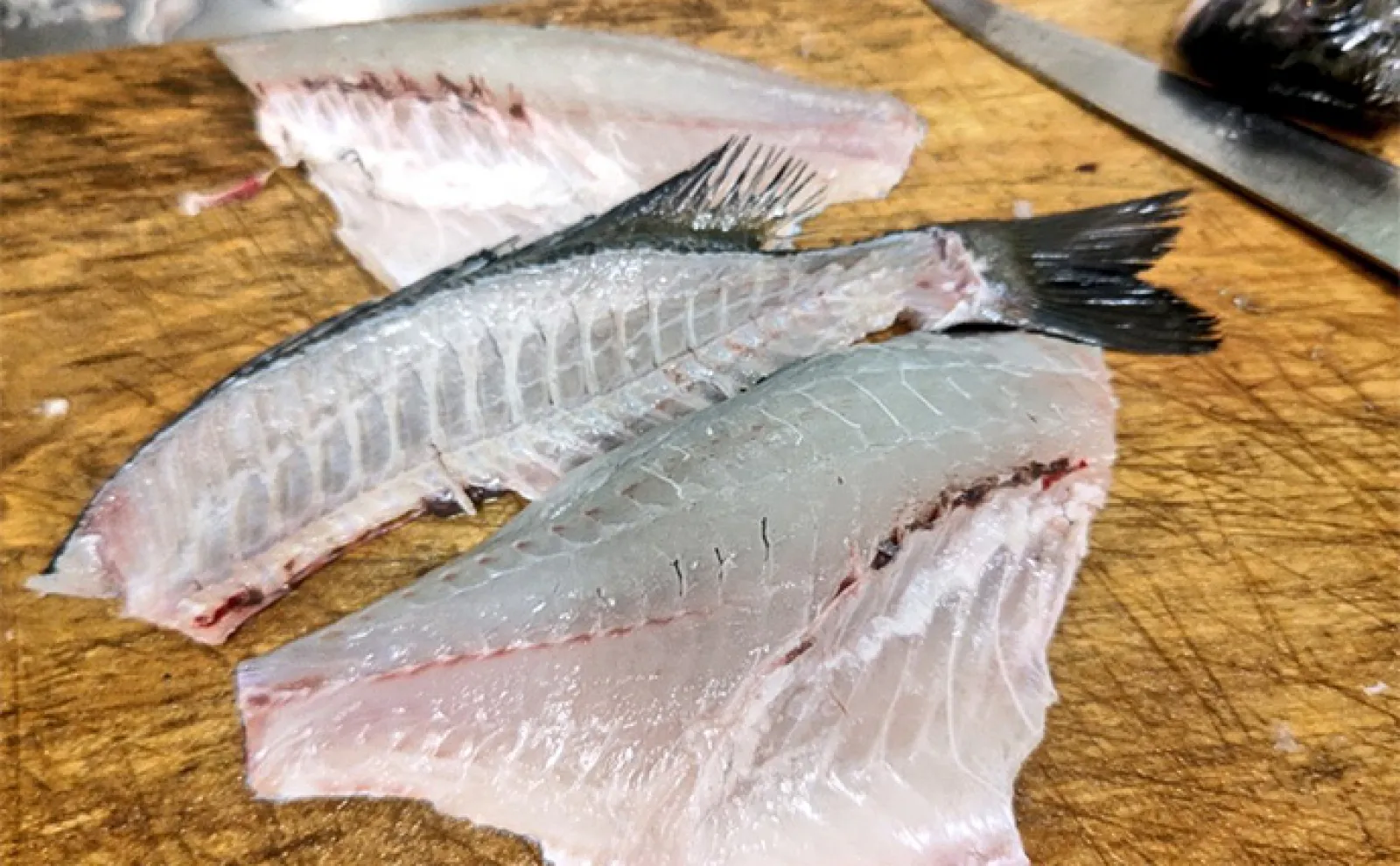 夏のクロダイを美味しく食べるコツは? 臭みを取るための4つの手順を紹介