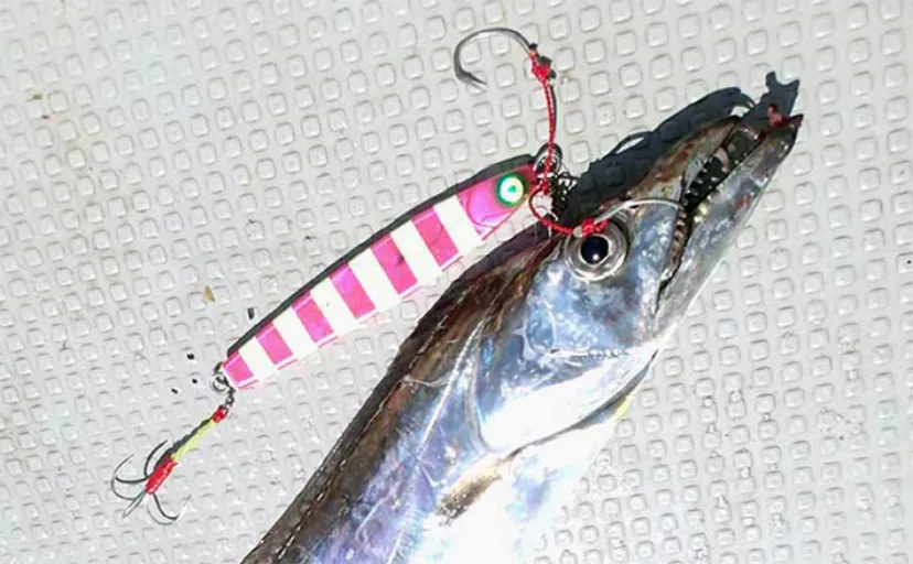 おすすめタチウオジギングロッド6選　専用ロッドで釣果に差がつくワケとは？