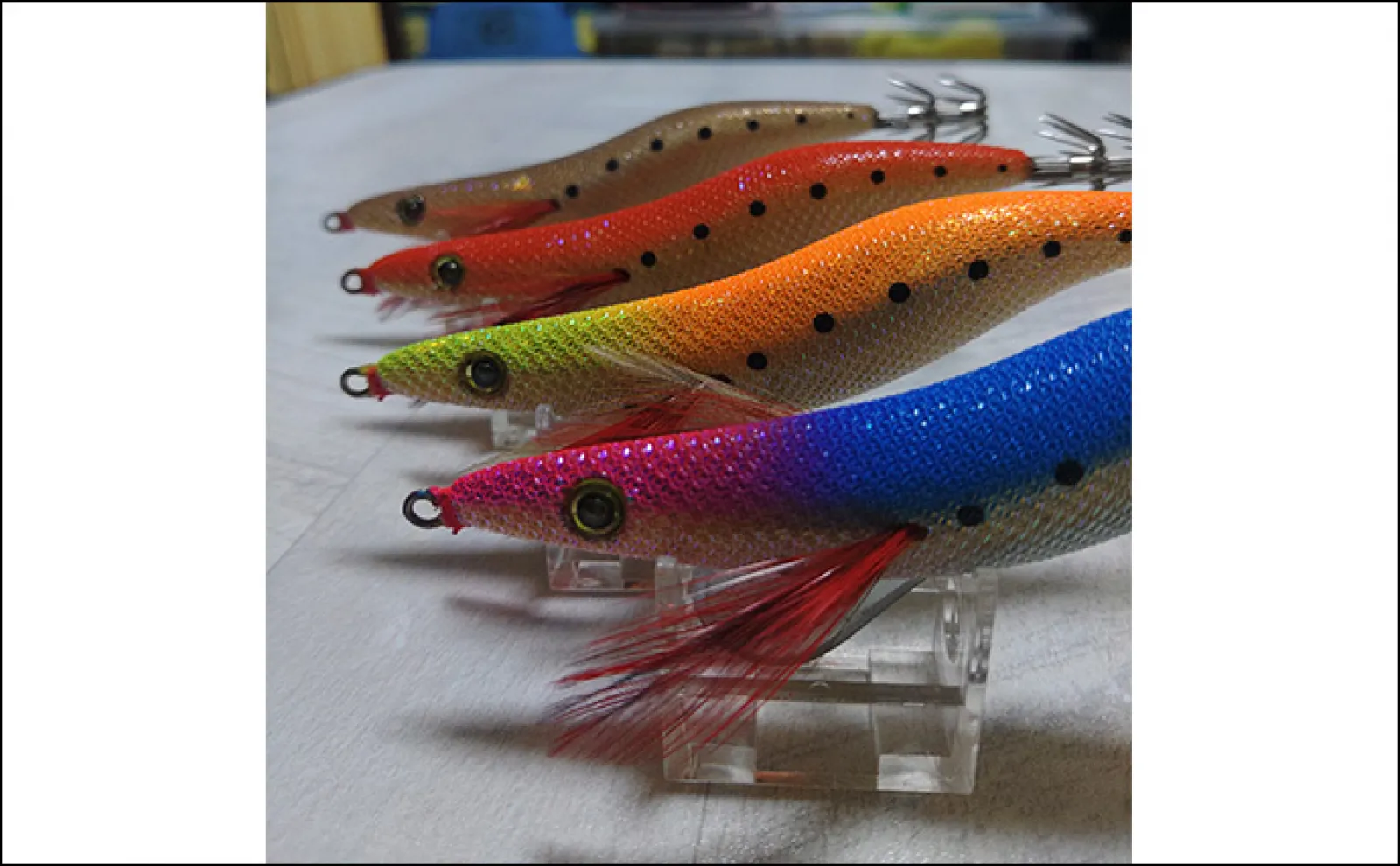 エギング釣行でキロオーバー頭にアオリイカ連打【長崎】プルピンカラーが大当たり