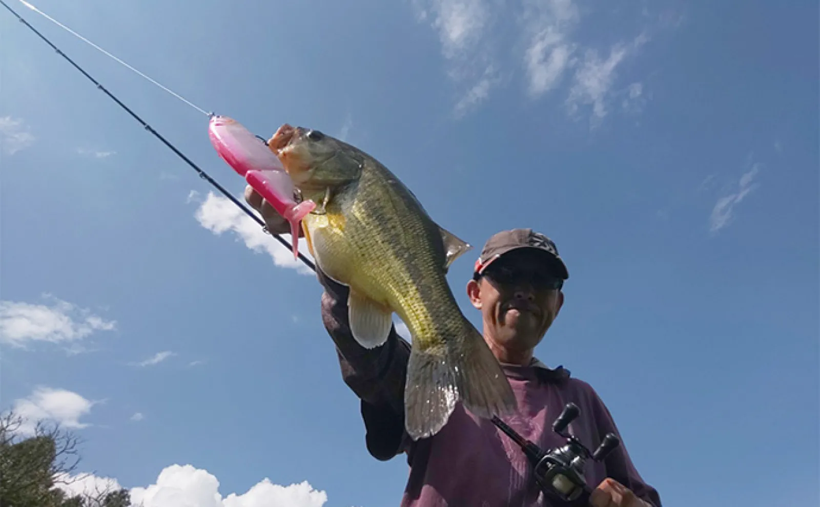 真夏の野池でビッグベイト縛りバスフィッシングのススメ 狙うべき場所