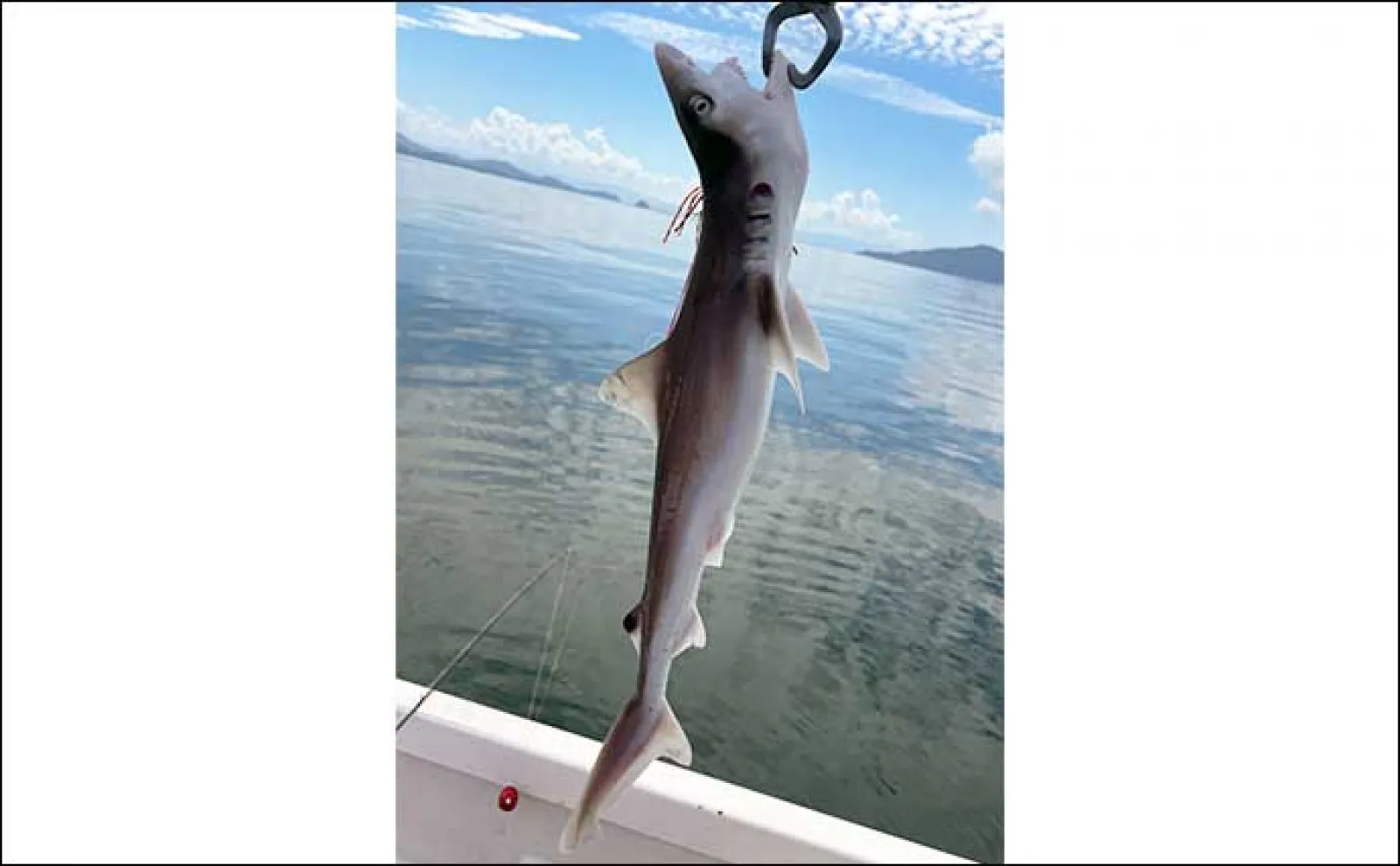 2馬力ボートでのタイラバ釣行でサメの猛攻に大苦戦【熊本・天草】