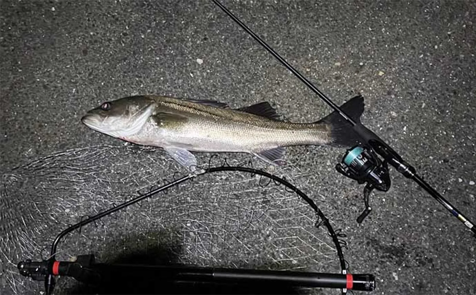 メバルロット　メバリング　LURE 0,5～5ｇ メバルロットメバリングLURE 0,5～5g