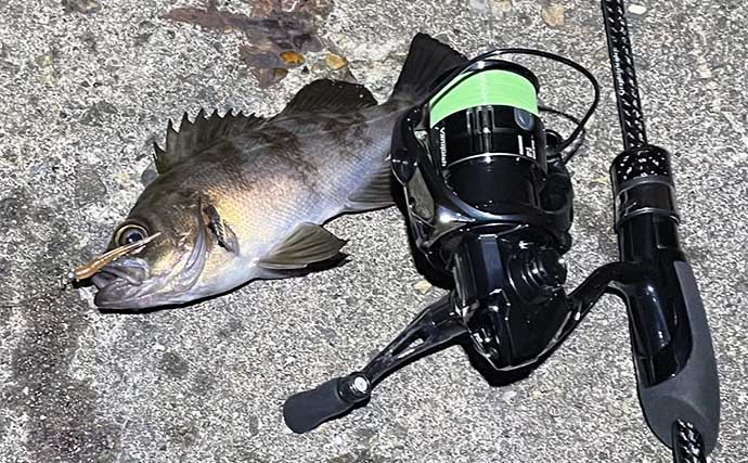 メバルロット　メバリング　LURE 0,5～5ｇ メバルロットメバリングLURE 0,5～5g