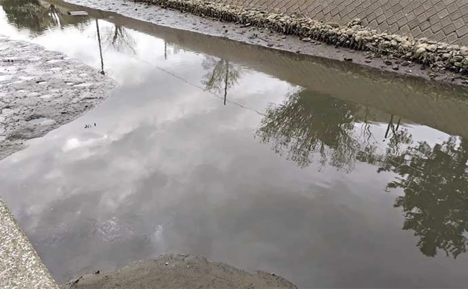 河川のルアーシーバス釣りは【水の流れが超重要】 流れない時の釣り方とは?