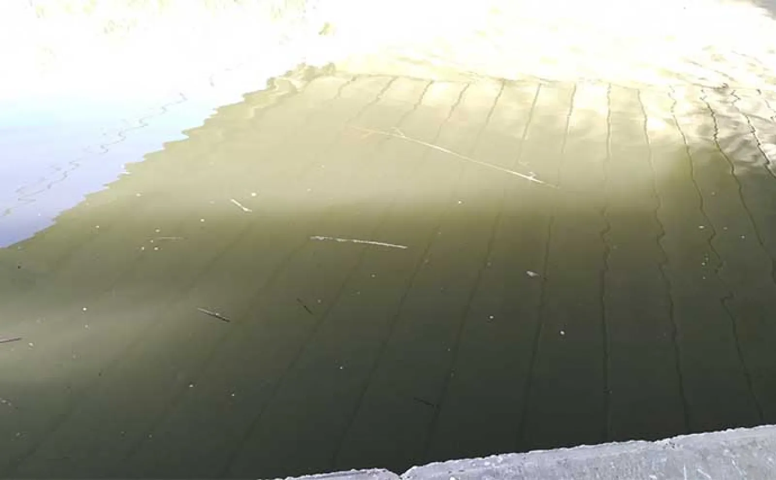 河川のルアーシーバス釣りは【水の流れが超重要】 流れない時の釣り方とは?