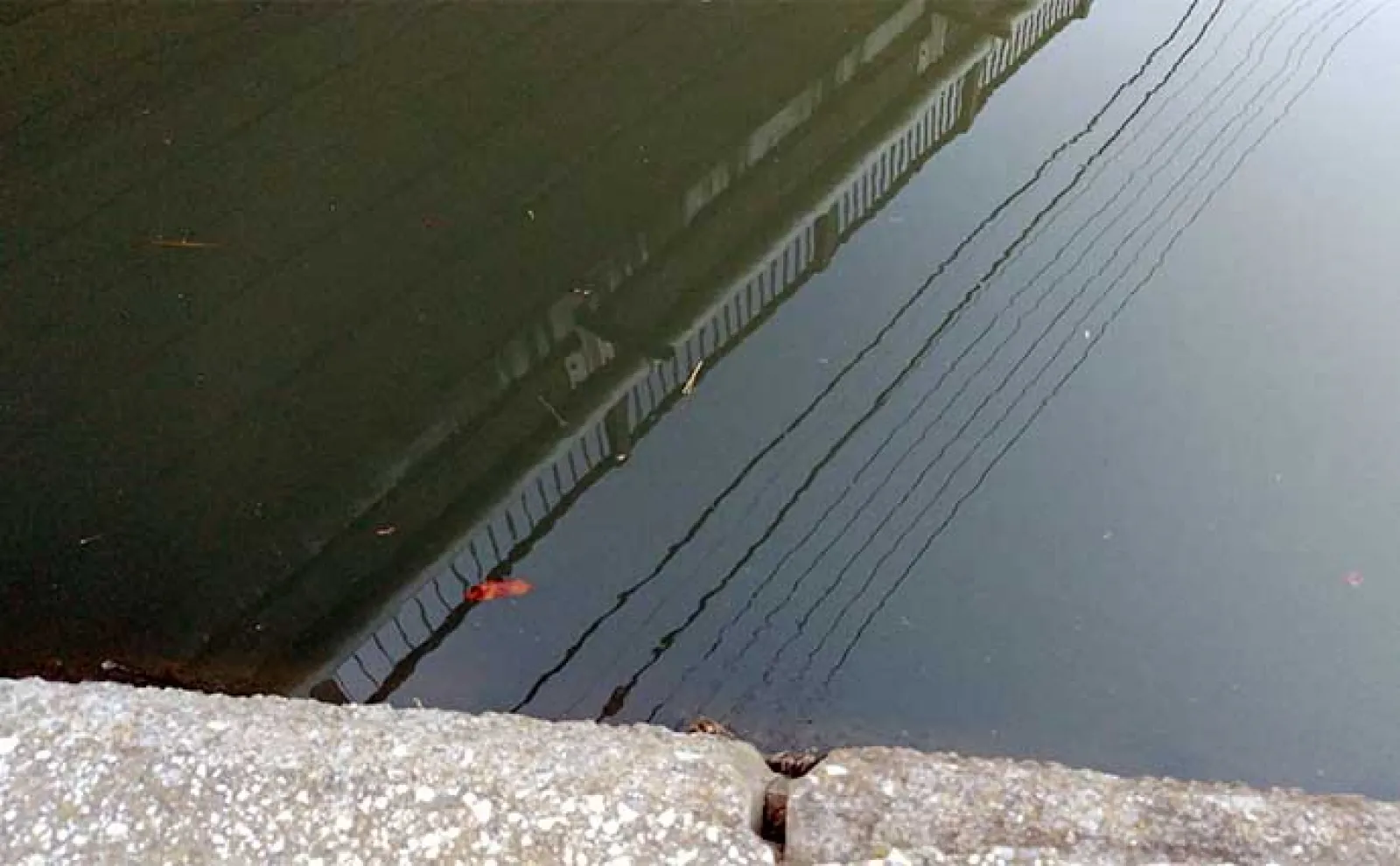 河川のルアーシーバス釣りは【水の流れが超重要】 流れない時の釣り方とは?