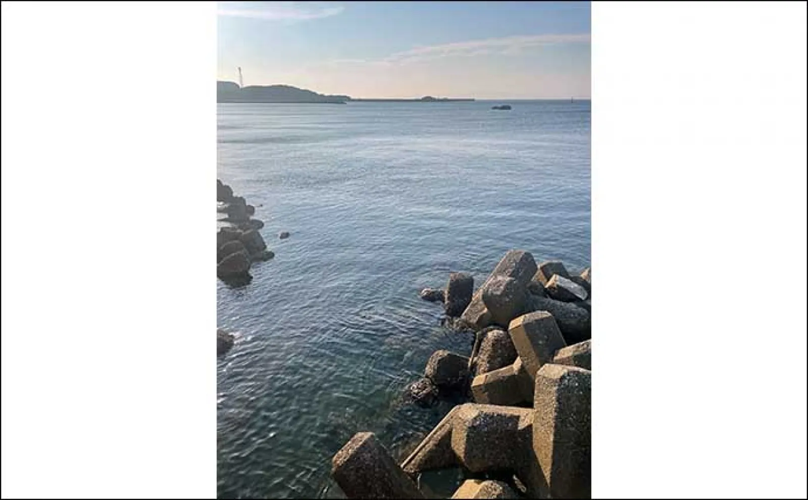 大阪湾「泉南」エリアの釣り場紹介 【地形の特徴と釣れる魚種を解説】